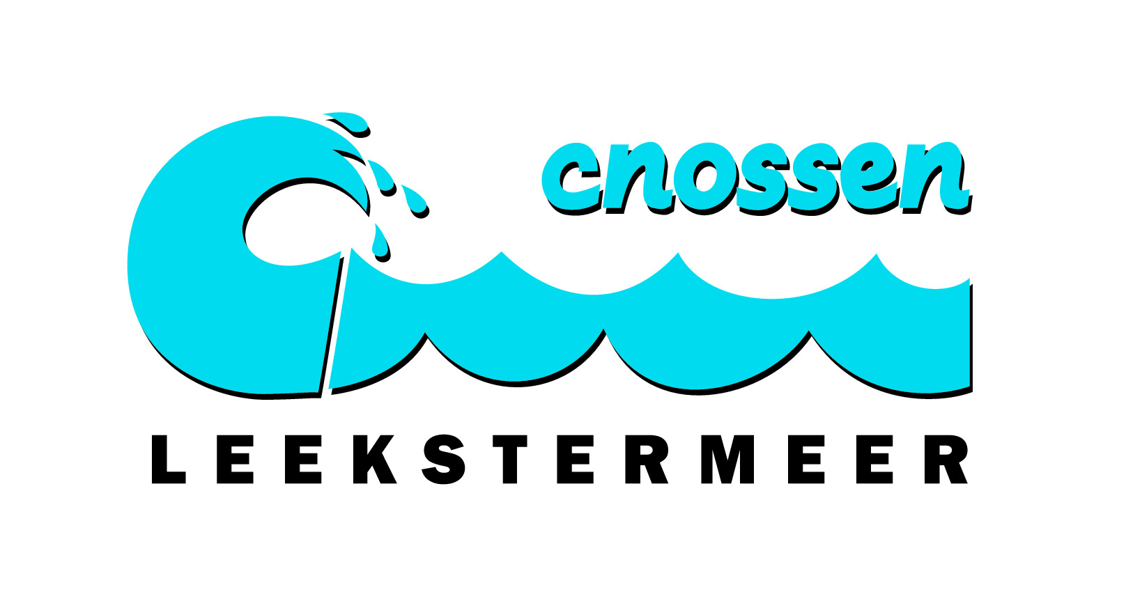 Logo Cnossen Leekstermeer